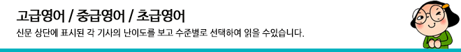 기사별 레벨